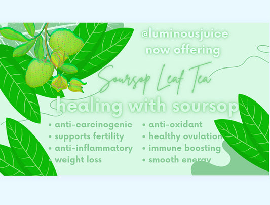 Soursop Leaf Tea